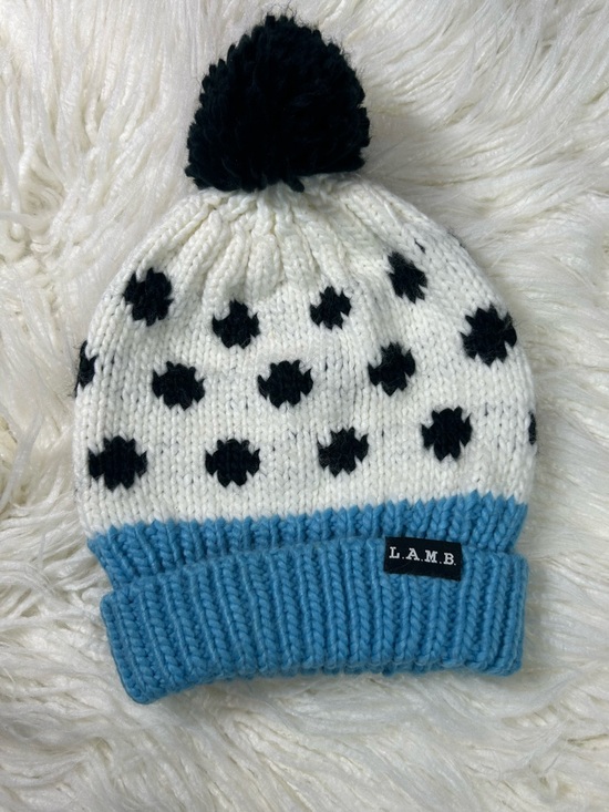 L.A.M.B. Accessories - L.A.M.B. x Burton Collab Beanie🩵🤍🖤